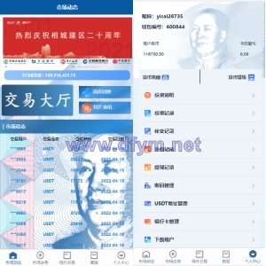 虚拟币交易系统/场外交易/USDT支付-大发海外源码