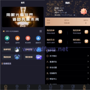 IPFS算力矿机/usdt排单众筹系统/usdt理财分红系统-大发海外源码