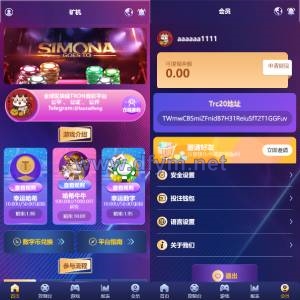 新版UI多语言usdt/trx哈希竞彩/usdt兑换/区块链哈希值游戏/前端html版-大发海外源码