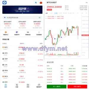 多语言交易所/币币交易/秒合约交易/质押生息-大发海外源码