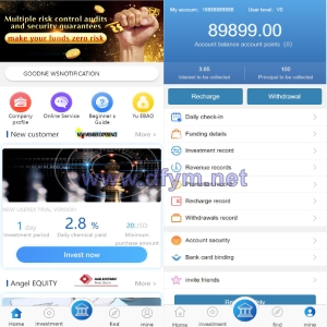 二开多语言版投资理财系统/项目投资源码/到期还本/usdt充值-大发海外源码