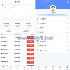 全新K线正常/fastadmin框架双语言外汇系统/微盘系统仿交易所/USDT支付-大发海外源码