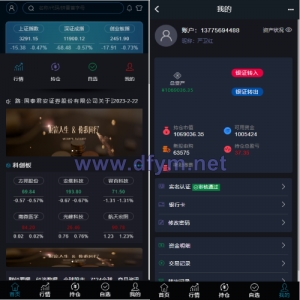 修复版两融双融系统/新股申购股票配资/策略股票系统带期货交易源码-大发海外源码