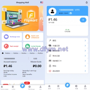 双UI多语言海外抢单刷单系统/分组派单/订单自动匹配系统-大发海外源码