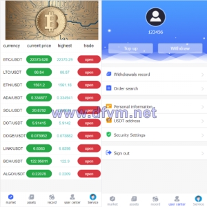 运营版微交易系统/伪交易所系统/虚拟币微盘源码-大发海外源码