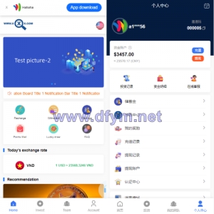新版多语言海外投资理财系统/影视外汇虚拟币理财投资系统-大发海外源码