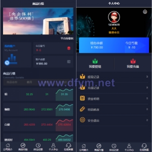 运营版微盘期货交易系统/微交易源码/代理后台/用户风控-大发海外源码