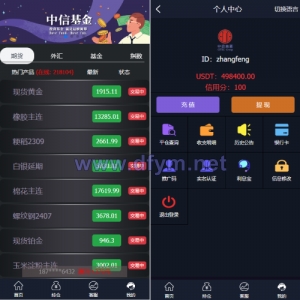 二开微盘系统/外汇/期货/基金/指数/微交易系统-大发海外源码