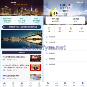 定制版微盘系统/证券交易/多语言微交易源码-大发海外源码