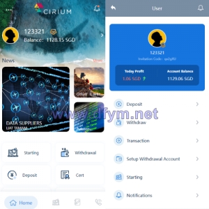 新版海外航空抢单刷单系统/订单自动匹配/前端uinapp-大发海外源码