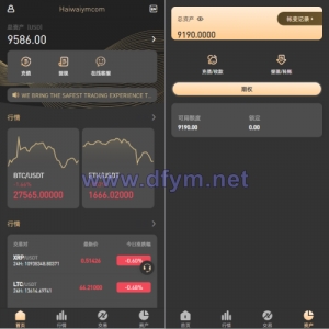 新版多语言海外微盘系统/微交易/虚拟币时间盘/伪交易所-大发海外源码