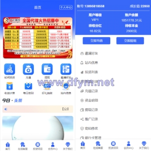 项目投资理财系统/投资众筹系统/分红返利-大发海外源码