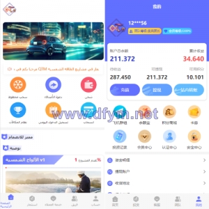 阿拉伯投资理财系统/海外投资众筹系统/前端vue-大发海外源码