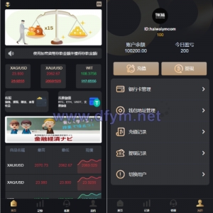 多语言海外微盘系统/外汇期货微交易/时间盘系统-大发海外源码