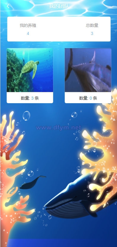 图片[5]-USDT理财系统/USDT投资源码/虚拟币静态收益/区块链源码-大发海外源码