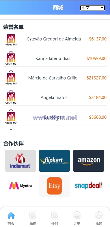 图片[12]-双UI多语言海外抢单刷单系统/分组派单/订单自动匹配系统-大发海外源码