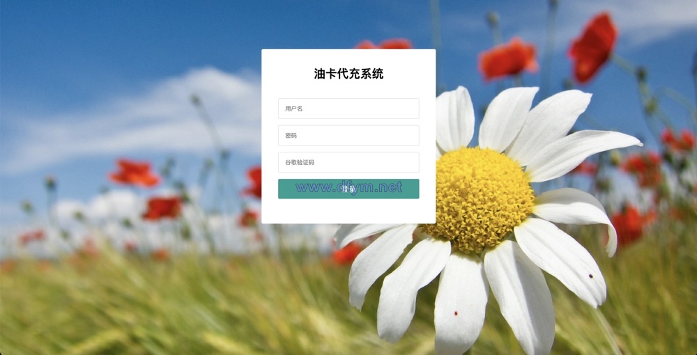 保时捷中石化油卡充值系统/聚合支付系统-大发海外源码