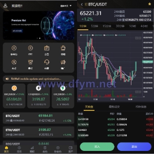 海外多语言交易所系统/币币/期权/秒合约/永续合约交易-大发海外源码
