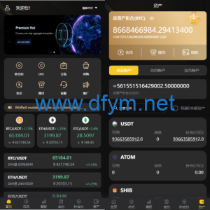 海外多语言交易所系统/币币/期权/秒合约/永续合约交易-大发海外源码