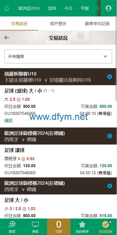 图片[14]-2024皇冠欧洲杯源码/多语言反波球盘信用盘源码/足球篮球体育盘-大发海外源码