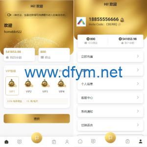 新版多语言抢单刷单系统/连单刷单/海外抢单刷单源码-大发海外源码