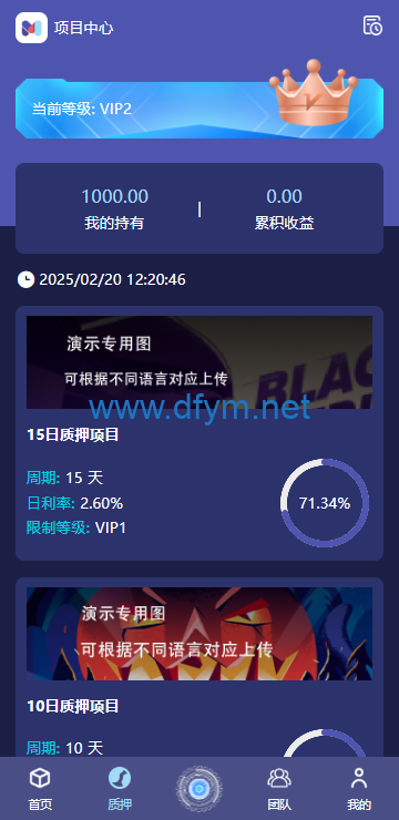 图片[3]-高端多语言自动挖矿系统/海外质押理财/自定义语言-大发海外源码