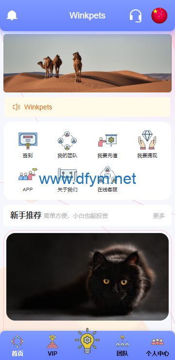 图片[3]-海外宠物投资理财系统/多语言投资源码/前端VUE-大发海外源码