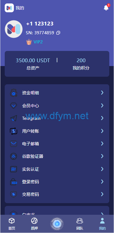 图片[9]-高端多语言自动挖矿系统/海外质押理财/自定义语言-大发海外源码